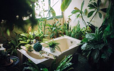 Forvandl dit badeværelse til en miljøvenligt oase